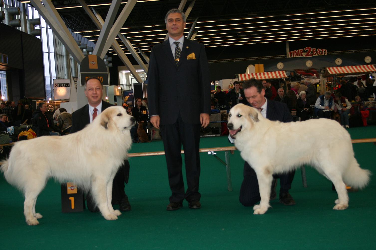 BOB en BOS Winner Amsterdam